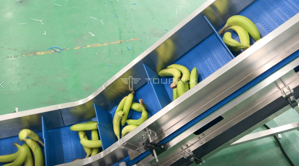Fabrika Endüstrisi Yarım Otomatik Ağ Torbası Ağlama Sayım Ağı Kesme Paketleme Makinesi Muz Meyvesi İçin