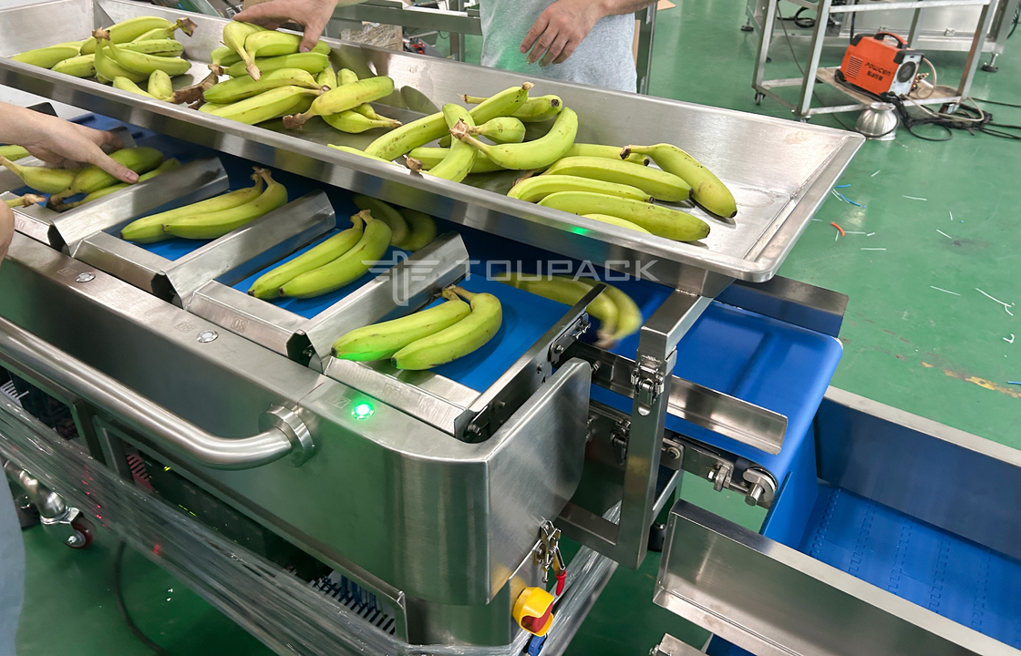 Fabrika Endüstrisi Yarım Otomatik Ağ Torbası Ağlama Sayım Ağı Kesme Paketleme Makinesi Muz Meyvesi İçin