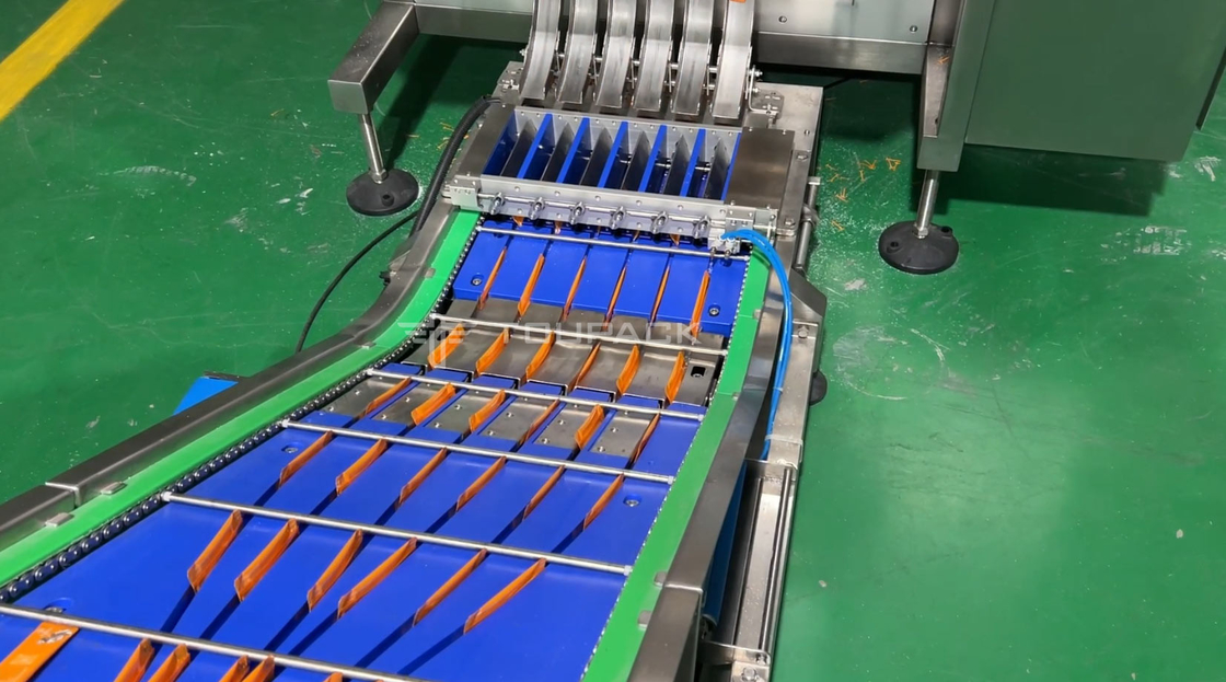 Çok sütunlu paketleyici kontrol ağırlığı sistemi çok şeritli çanta paketleme makinesi çantalar kontrol ağırlığı olan paketleme makinesi