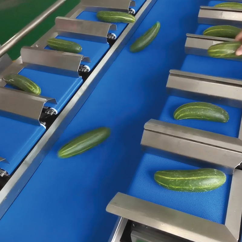 kurutulmuş mango Otomatik Çok İstasyonlu Kemer Taşıyıcı Su Denizi Salata Balık Fillesi Masaüstü Hedef Ağırlık Karşı ağırlık Makinesi