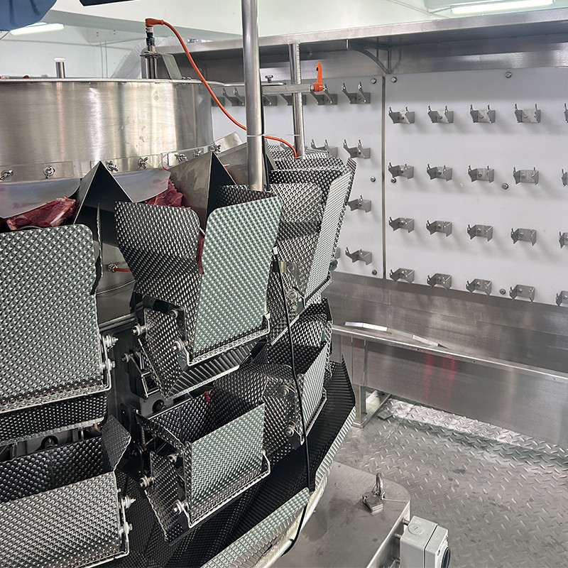 Taze Kabuk Plastik Kutu Paketleme Üretim hattı 10' renk dokunmatik ekranla