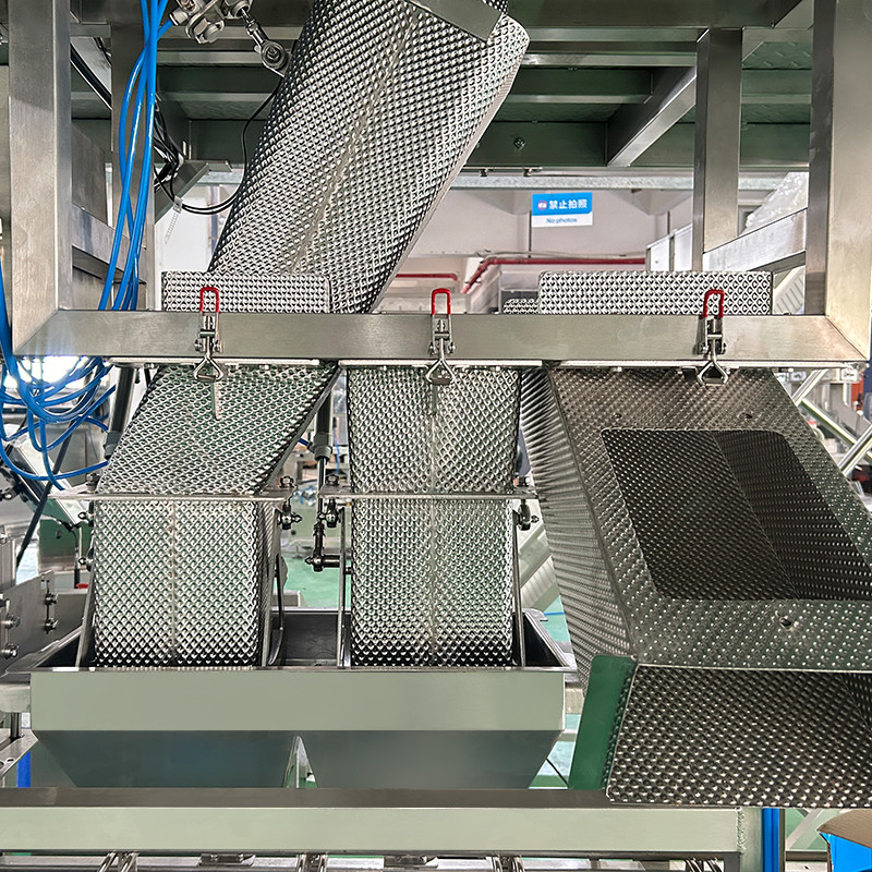 Taze Kabuk Plastik Kutu Paketleme Üretim hattı 10' renk dokunmatik ekranla