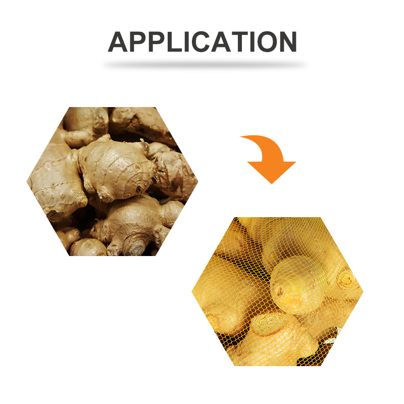 TOUPACK PP Soğan Sarımsak ve Patates Paketleme File Çanta Yapma Makinesi File Paketleme Makinesi