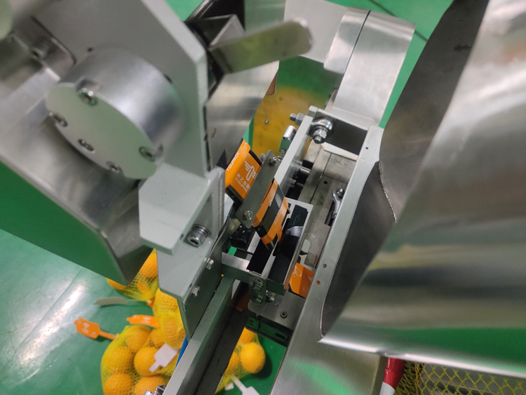 Otomatik File Torba Paketleme Makinesi, Sebzeler, Meyveler, Zencefil, Patates, Narenciye Paketlemek İçin 3g-5000g Tartım Aralığı