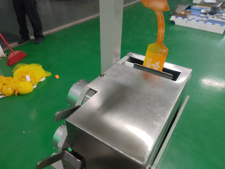 Otomatik File Torba Paketleme Makinesi, Sebzeler, Meyveler, Zencefil, Patates, Narenciye Paketlemek İçin 3g-5000g Tartım Aralığı