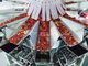 50g Kuru Kırmızı Biber Paketleme Makinesi Dikey Tahıl Torbası, Multihead Kantarlı 120BPM