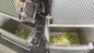 Otomatik Sebze ve Meyve Tepsisi Paketleme Makinesi Yiyecek Snack Çok Fonksiyonlu Paketleme Makinesi
