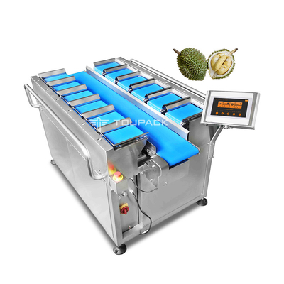 Dondurulmuş Kurutulmuş Durian Kurutulmuş Mango Meyve Çok Kafalı Kantar Kombinasyon Ekipmanları Manuel Bant Tipi