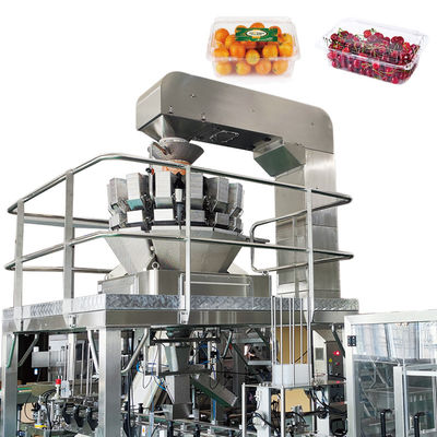 Doğruluk Otomatik Çok Kafa Kantarı Servo Motor Sürüş Meyve Sebze Salata Paketleme Makinesi
