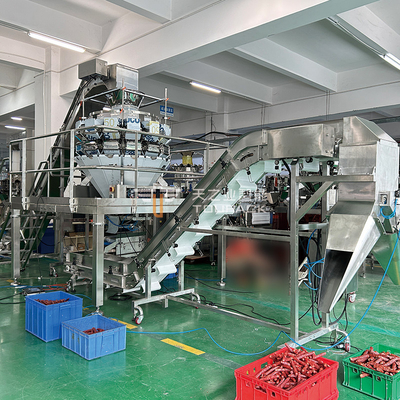 Yarım Otomatik 12/14 Başlı Çok Başlı Ağırlıklı Paketleme Makinesi Sıvı Sosis Torbalama Makinesi