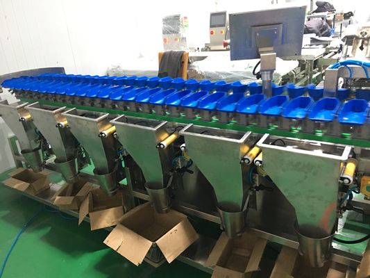 Dairesel Tavuk Kanatları Sıralayıcı Makinesi Çok Ağırlıklı Grander Su Geçirmez