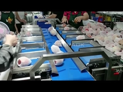 TOUPACK Apple Kartonlama Hattı ve Yastık Paketleme Makinesi ile 12 Kafa Kombinasyon Kantarı Tartı