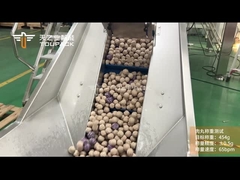 TOUPACK Dondurulmuş Et Topu Ağırlama ve Paketleme Sistemi