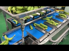 Fabrika Endüstrisi Yarım Otomatik Mesh Ağ Çantası Ağlama Sayım Ağı Klipleme Paketleme Paketleme Makinesi