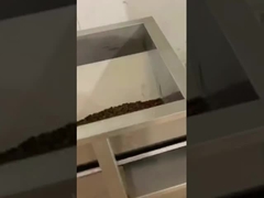 Kahve Fasulyesi Doğrusal Ağırlık Doldurma Paketleme Makinesi