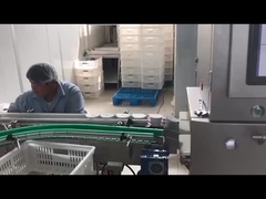 Gıda Endüstrisi için Otomatik Elektronik Röntgen Denetim Makinesi Röntgen Denetim Sistemi