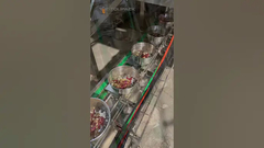 Papağan yemi evcil hayvan yemi VFFS Kuruyemiş Granül Dondurularak Kurutulmuş Meyve Paketleme Makinesi Kuru Meyveler İçin